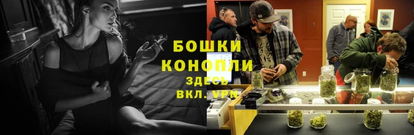 стаф Новозыбков