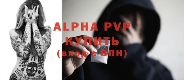 стаф Новозыбков