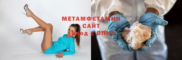 индика Гусь-Хрустальный
