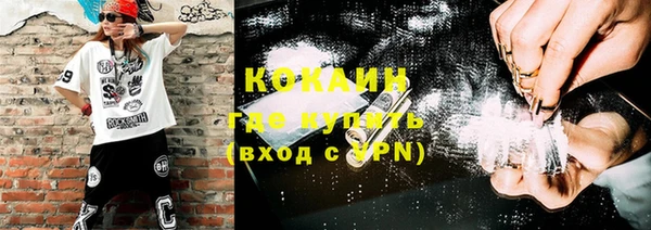 стаф Новозыбков