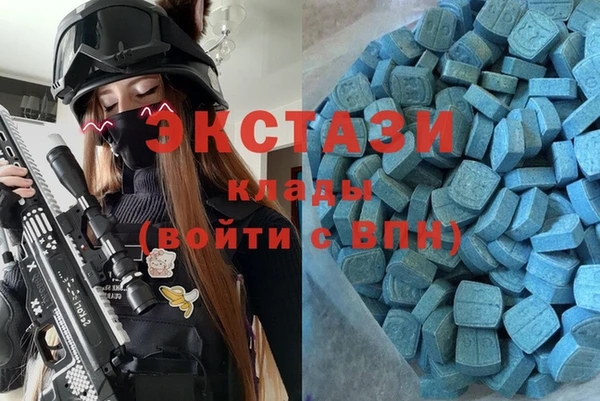 стаф Новозыбков