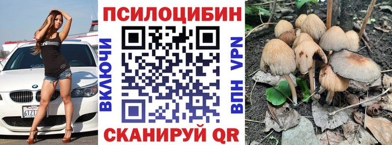 Псилоцибиновые грибы прущие грибы Питкяранта